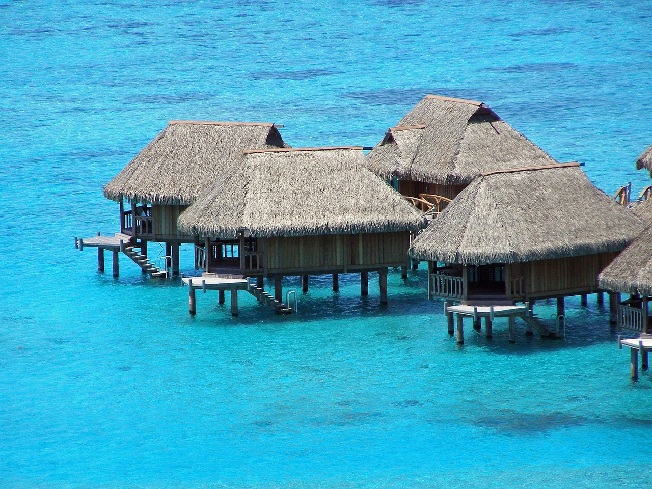 moorea, french, polynesia, island, tropical, lagoon, paradise, coast, bungalow, resort, moorea, moorea, polynesia, bunga