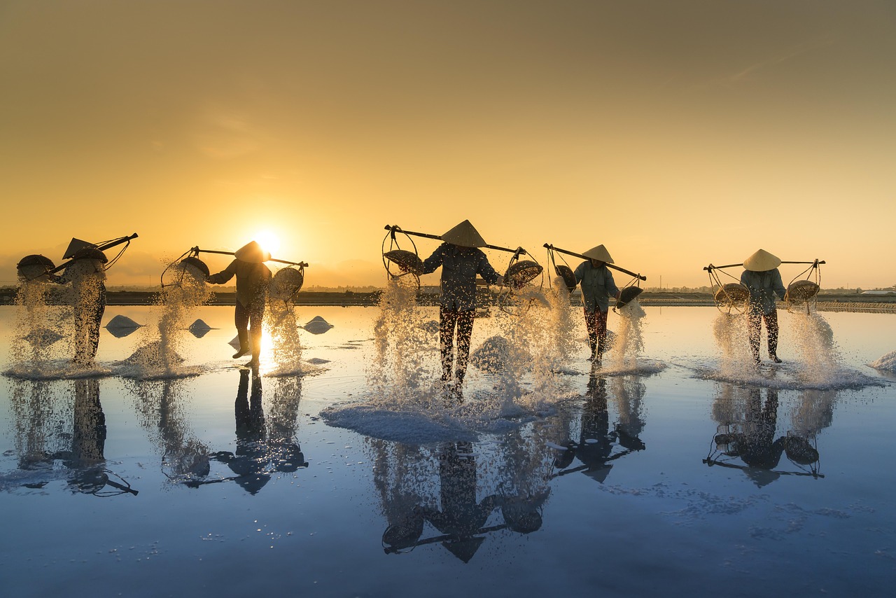 salt harvesting, vietnam, water, salt, work, people, reflection, hon khoi, salt field, salina, tropical, agriculture, as