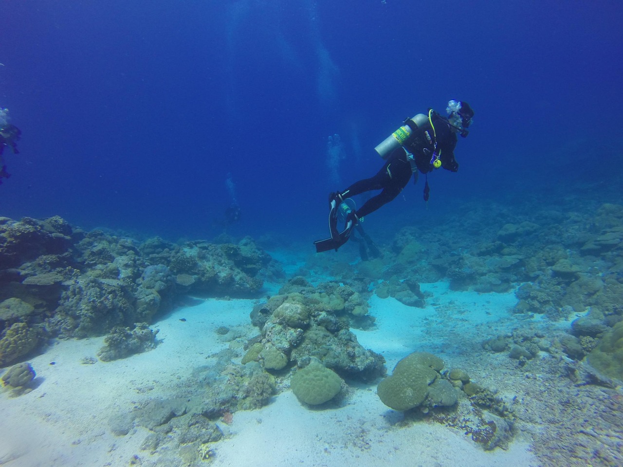 dive, diver, scuba, palau, scuba diving, scuba diver, underwater, sport, people, vacation, diving, sea, ocean, blue, rec