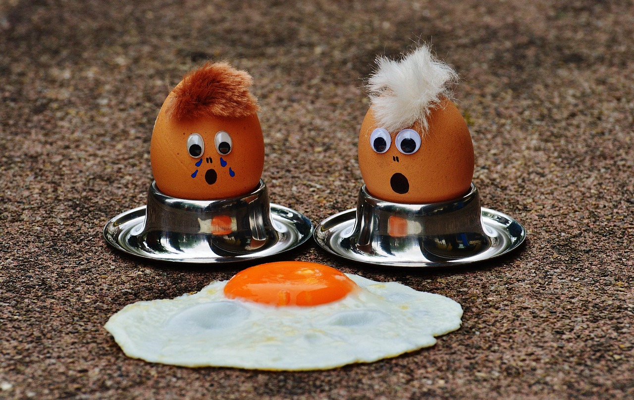 eggs, fried egg, grief, fun, cute, food, egg, egg yolk, fried eggs, protein, eggs, eggs, fried egg, grief, grief, egg, e