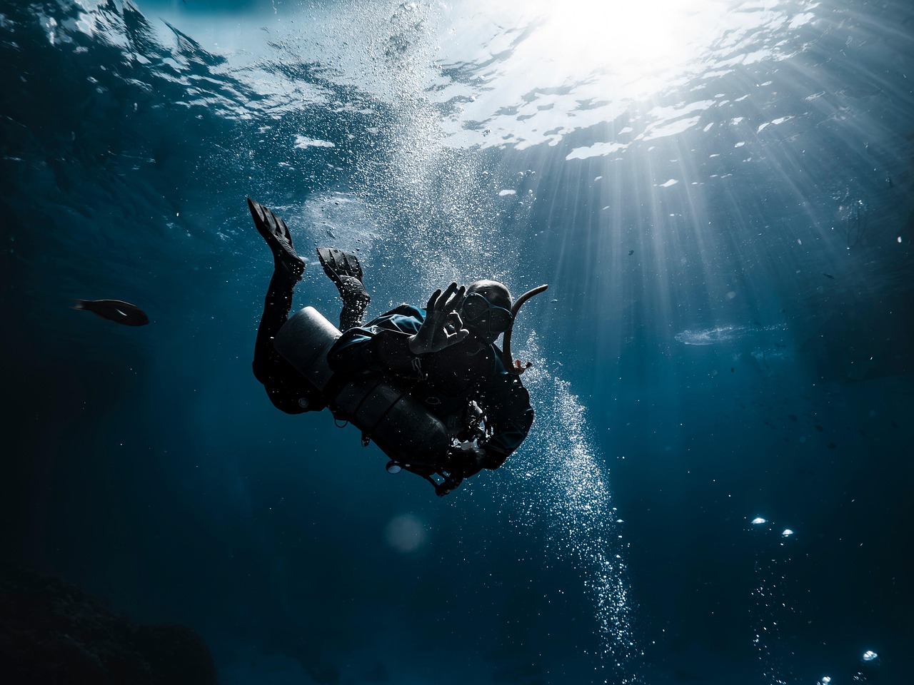 diver, underwater, dive, man, sports, backlighting, nature, sea