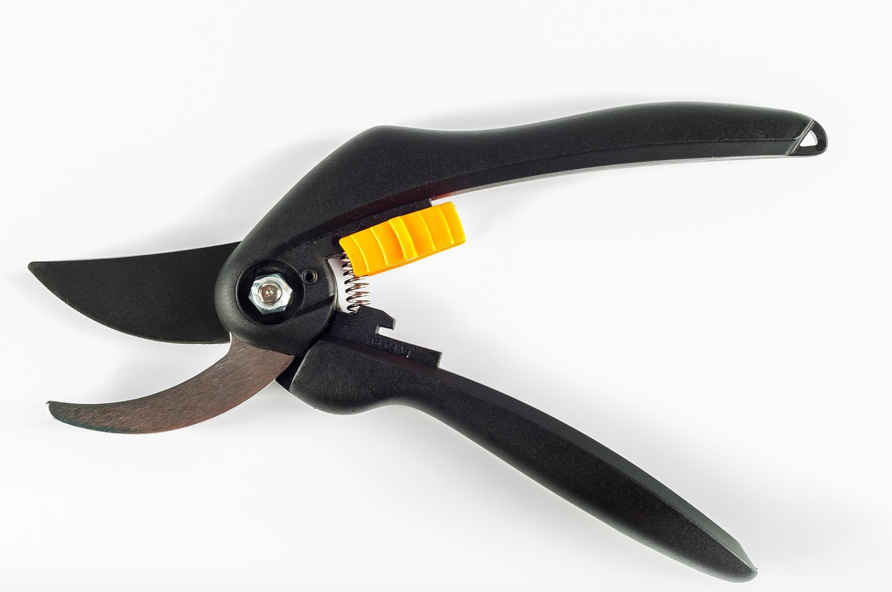 background, isolated, garden, wallpaper hd, scissors, pruner, 4k wallpaper 1920x1080, laptop wallpaper, shears, secateur