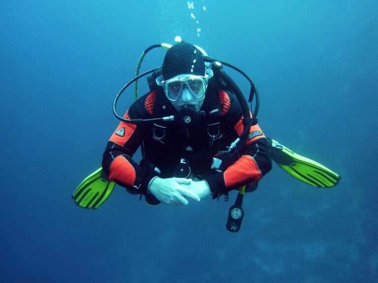 Best Wetsuit for Warm Water Reef Diving: Top Picks for Comfort and Mobility